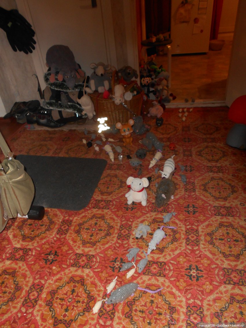 Мышиное нашествие на город Новомак: фоторепортаж с места событий. Часть первая