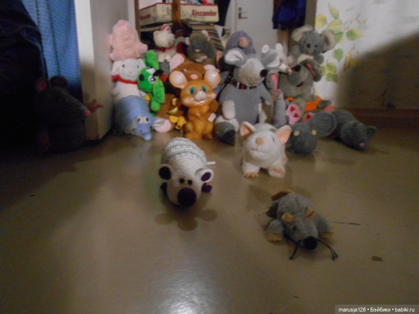 Мышиное нашествие на город Новомак: фоторепортаж с места событий. Часть первая