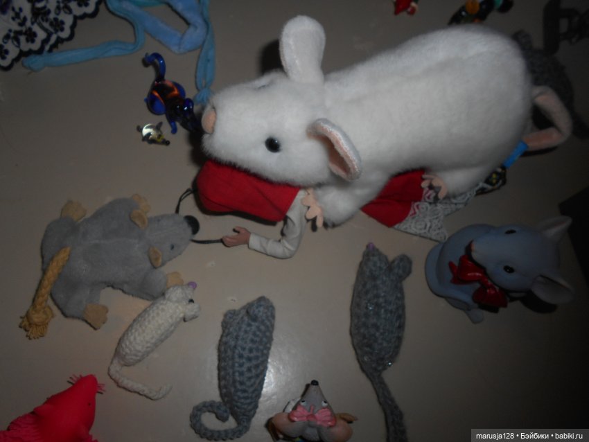 Мышиное нашествие на город Новомак: фоторепортаж с места событий. Часть первая