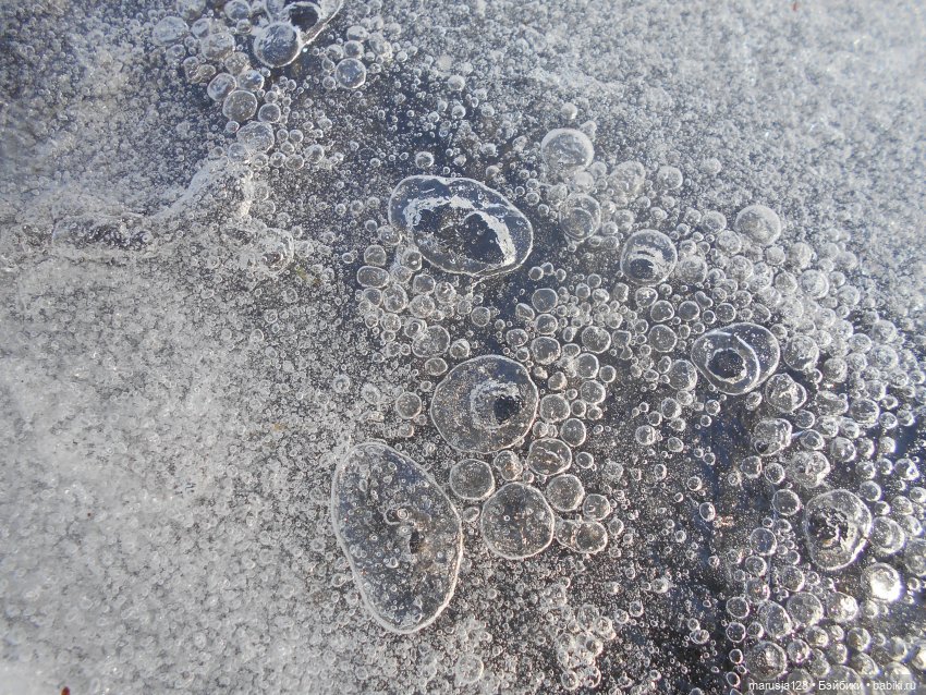 Лес глазами крохи — Туризм и путешествия: фотоотчеты из поездок (фото 2)