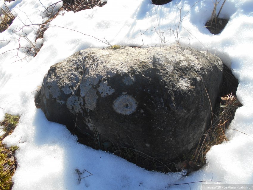 Лес глазами крохи — Туризм и путешествия: фотоотчеты из поездок (фото 10)