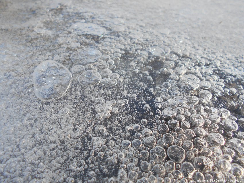 Лес глазами крохи — Туризм и путешествия: фотоотчеты из поездок