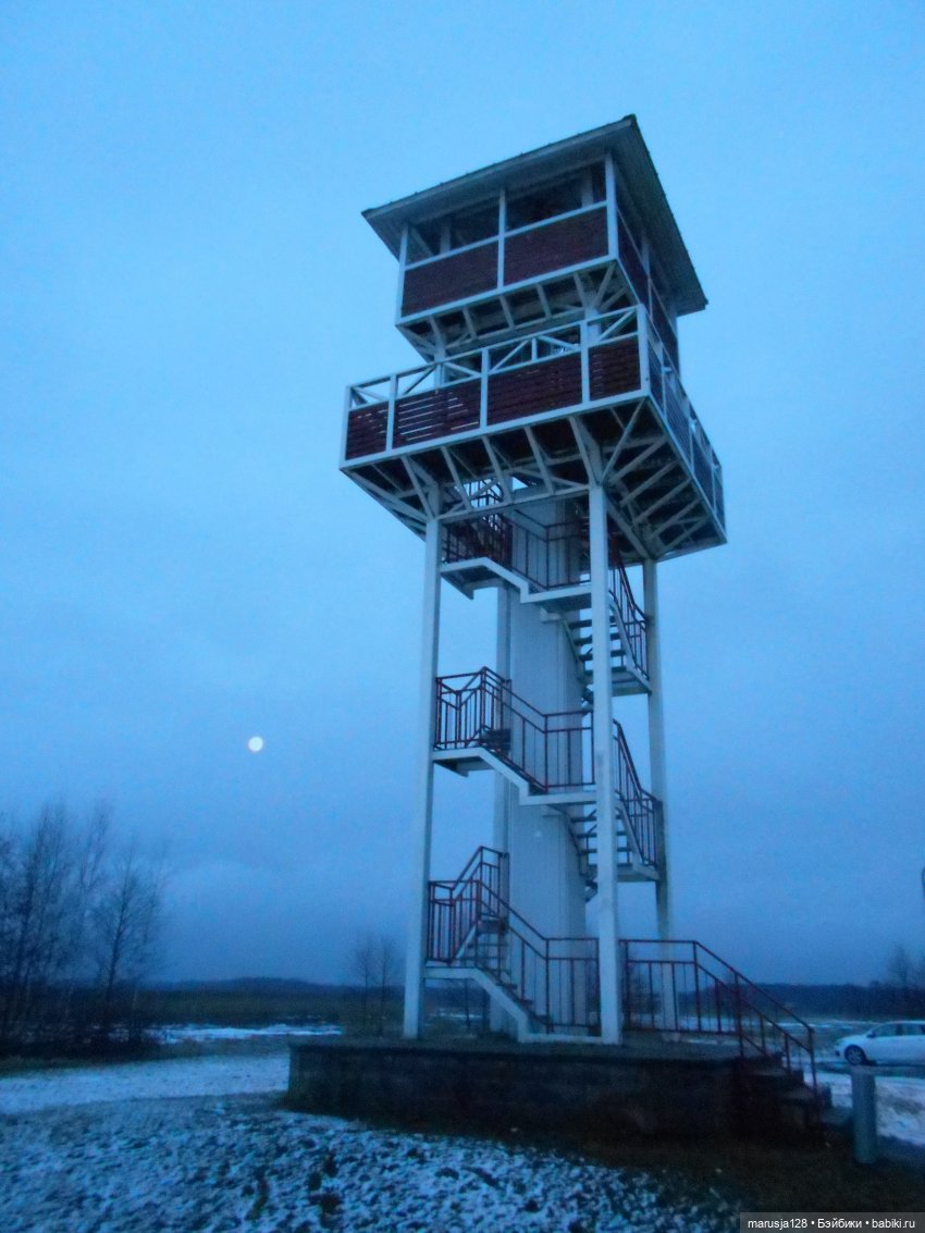 Мокробяка | Бэйбики Мокробяка — Интересное и необычное: фотоподборки (фото 8)