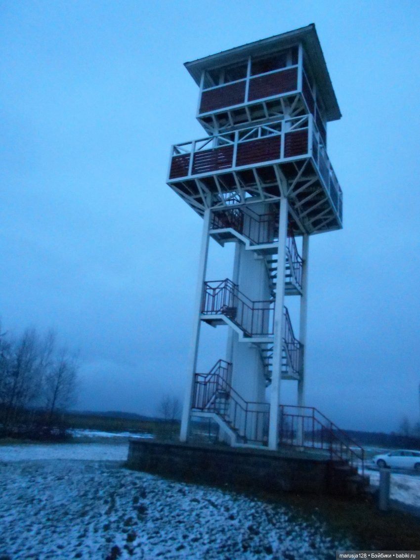 Мокробяка | Бэйбики Мокробяка — Интересное и необычное: фотоподборки (фото 9)