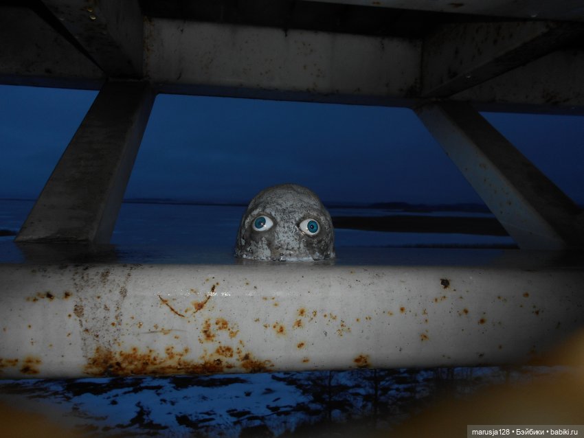 Мокробяка | Бэйбики Мокробяка — Интересное и необычное: фотоподборки (фото 6)