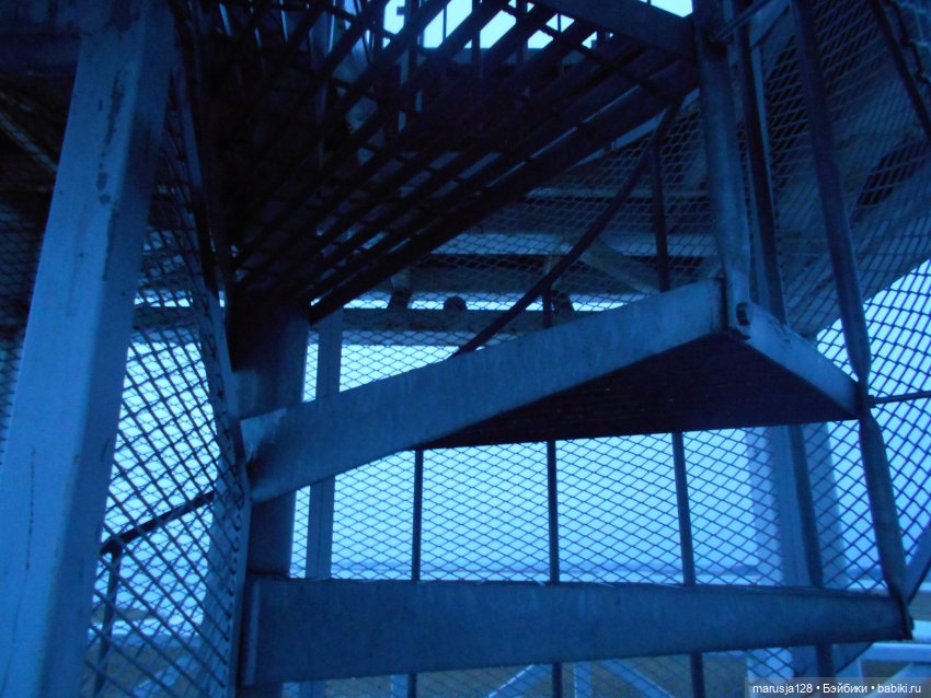 Мокробяка | Бэйбики Мокробяка — Интересное и необычное: фотоподборки (фото 7)