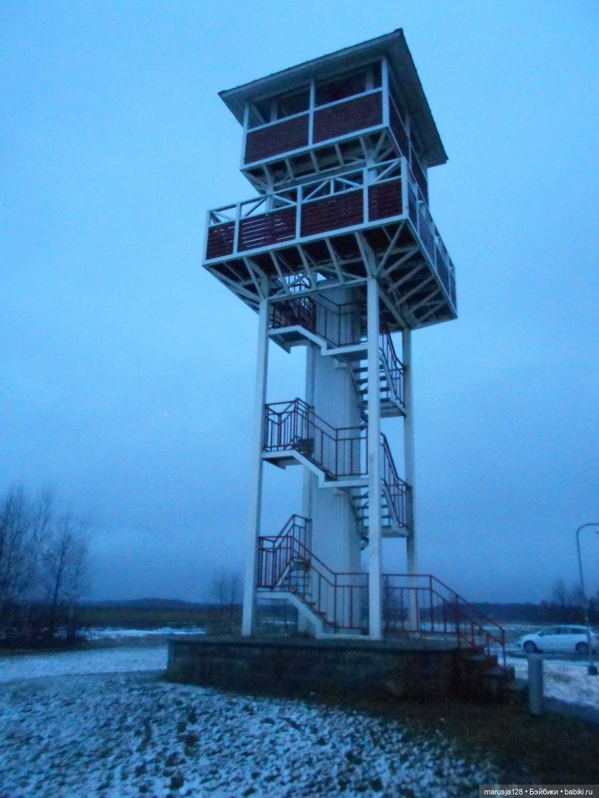 Мокробяка | Бэйбики Мокробяка — Интересное и необычное: фотоподборки (фото 2)