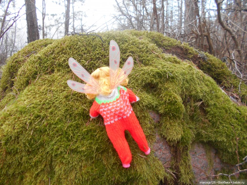 Невероятные приключения мелких в Заколдованном лесу (фото 5)