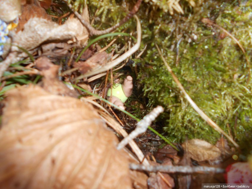 Невероятные приключения мелких в Заколдованном лесу