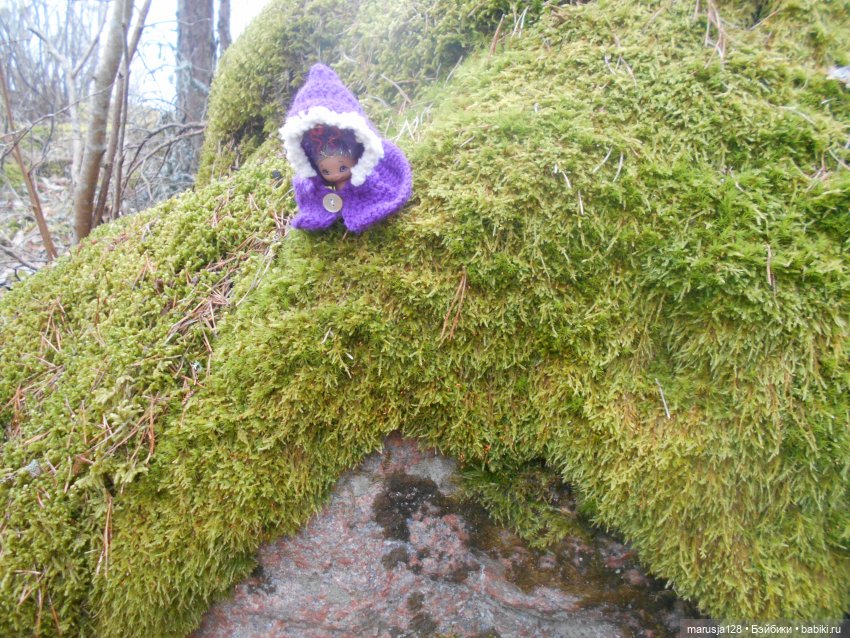 Невероятные приключения мелких в Заколдованном лесу (фото 9)