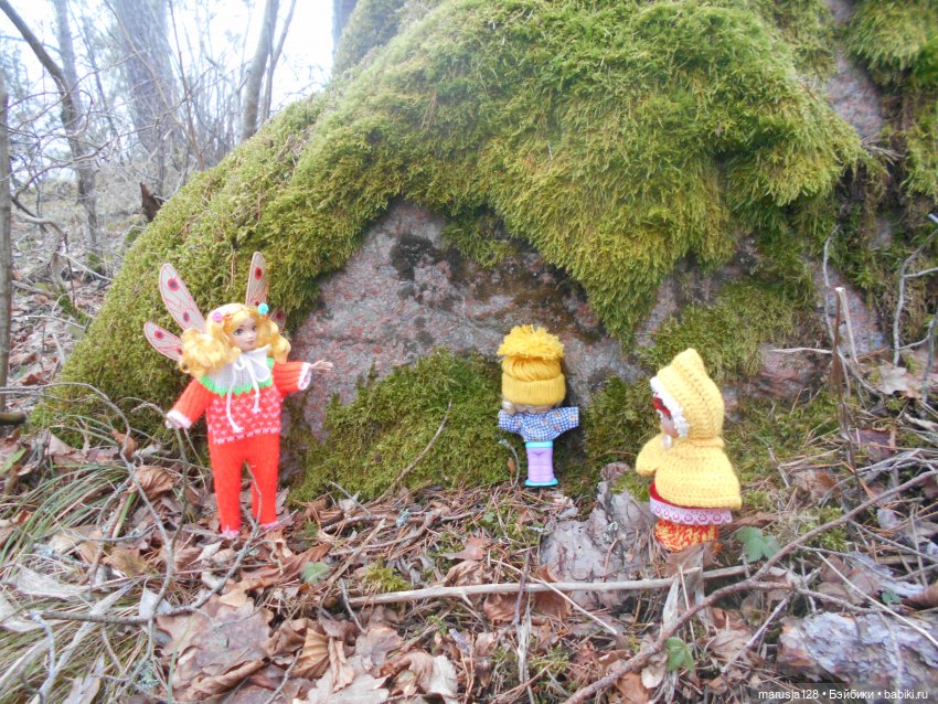 Невероятные приключения мелких в Заколдованном лесу