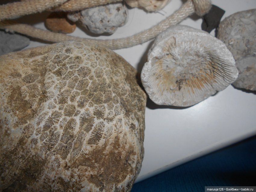 НовомакНовости от Майки и Надюшки