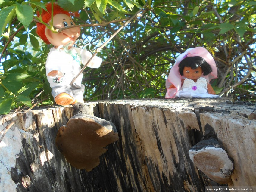 Приходите к нам на свадьбу