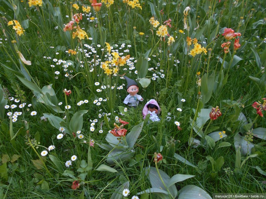 Приходите к нам на свадьбу