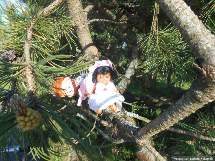 Приходите к нам на свадьбу