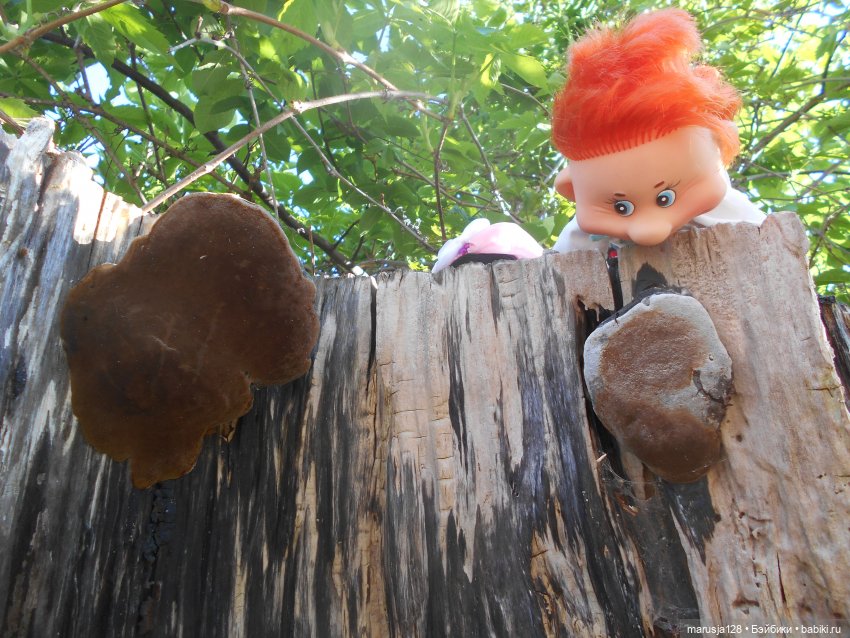 Приходите к нам на свадьбу