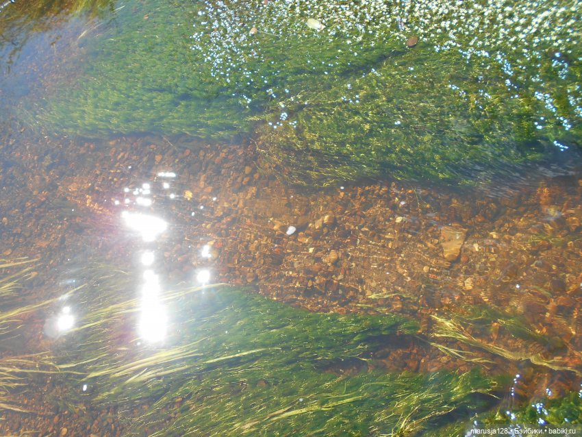 «С какой ты планеты!?» История Одиссейки