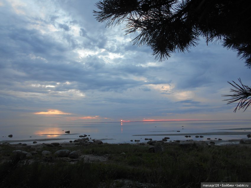 «С какой ты планеты!?» История Одиссейки
