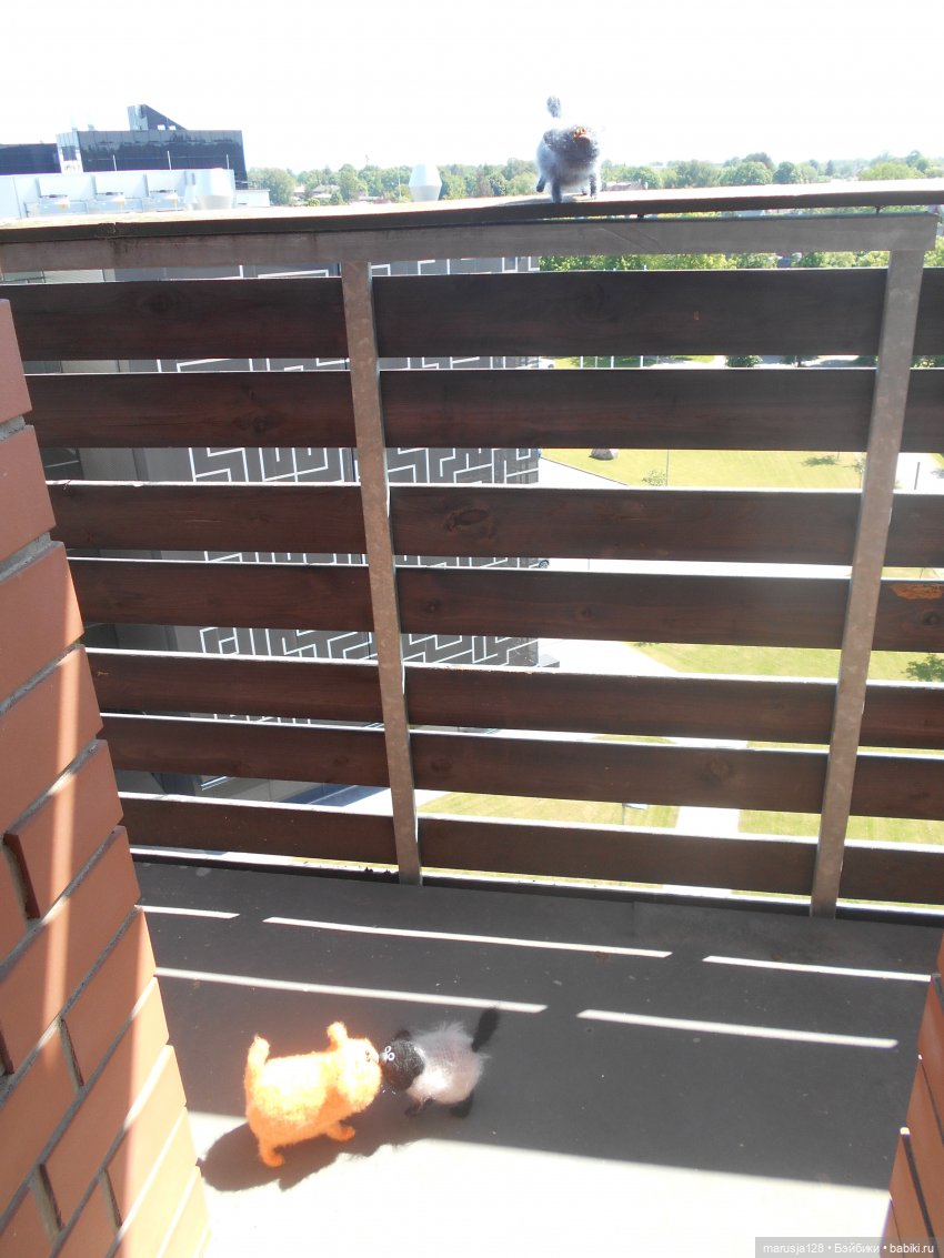 Шкодливые котишки. Пост для племянника Мишки