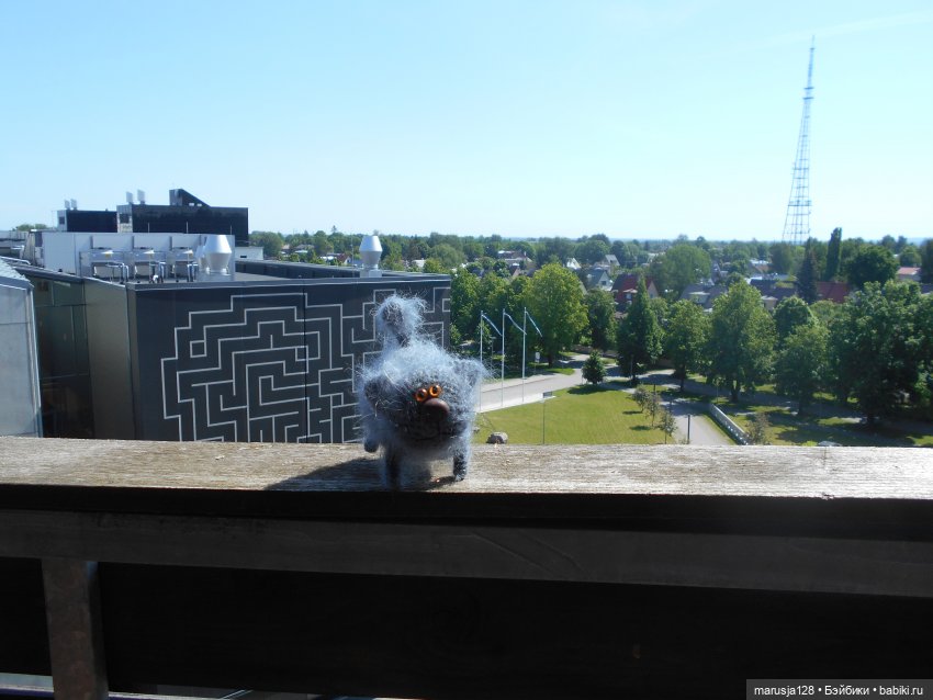 Шкодливые котишки. Пост для племянника Мишки (фото 9)