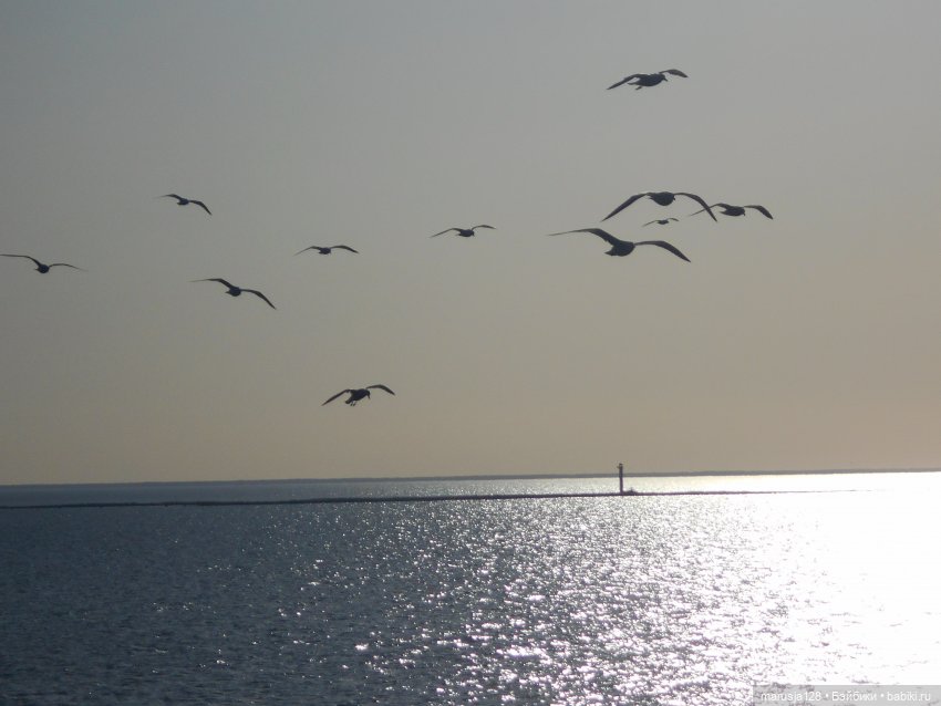 «С какой ты планеты!?» История Одиссейки