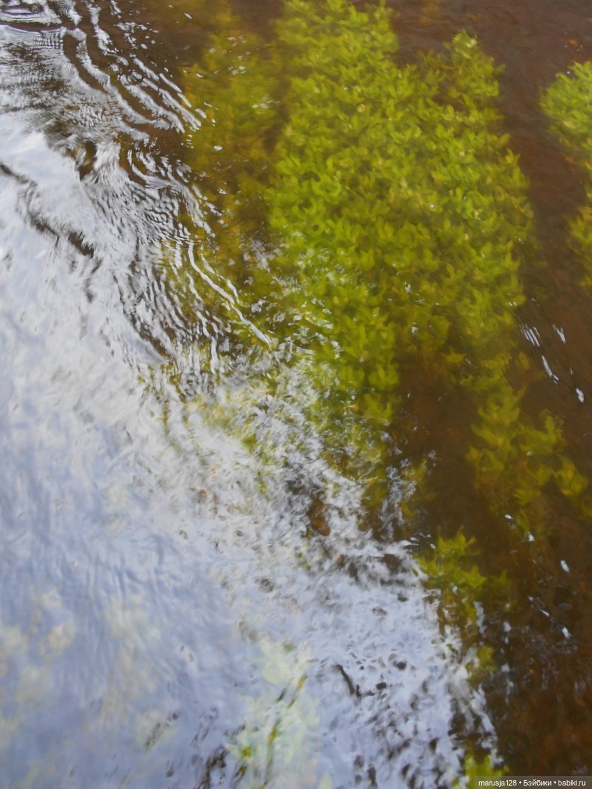 «С какой ты планеты!?» История Одиссейки