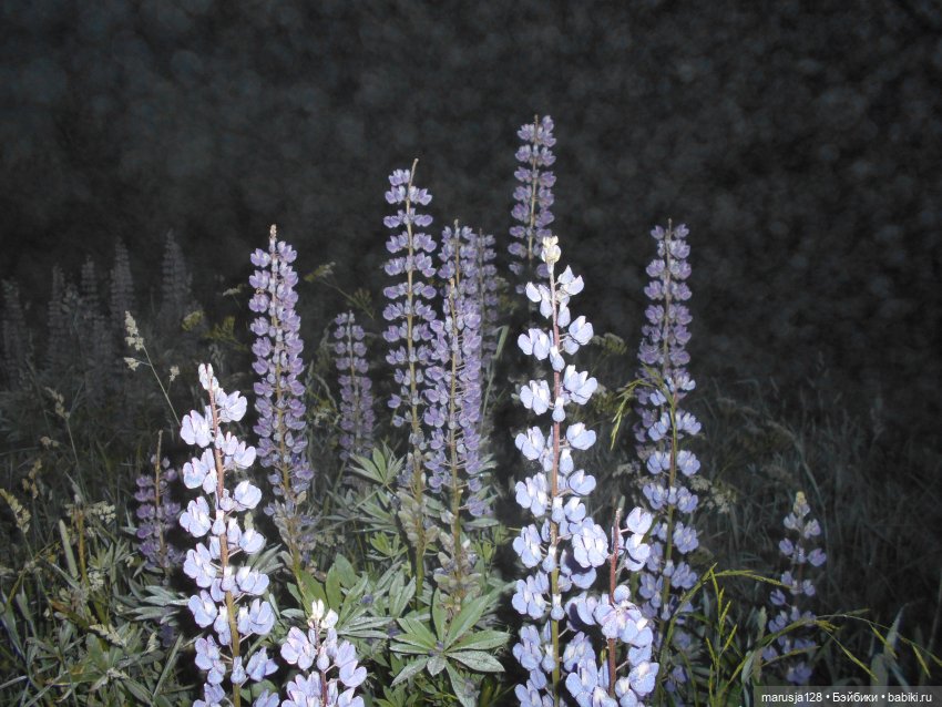 «С какой ты планеты!?» История Одиссейки