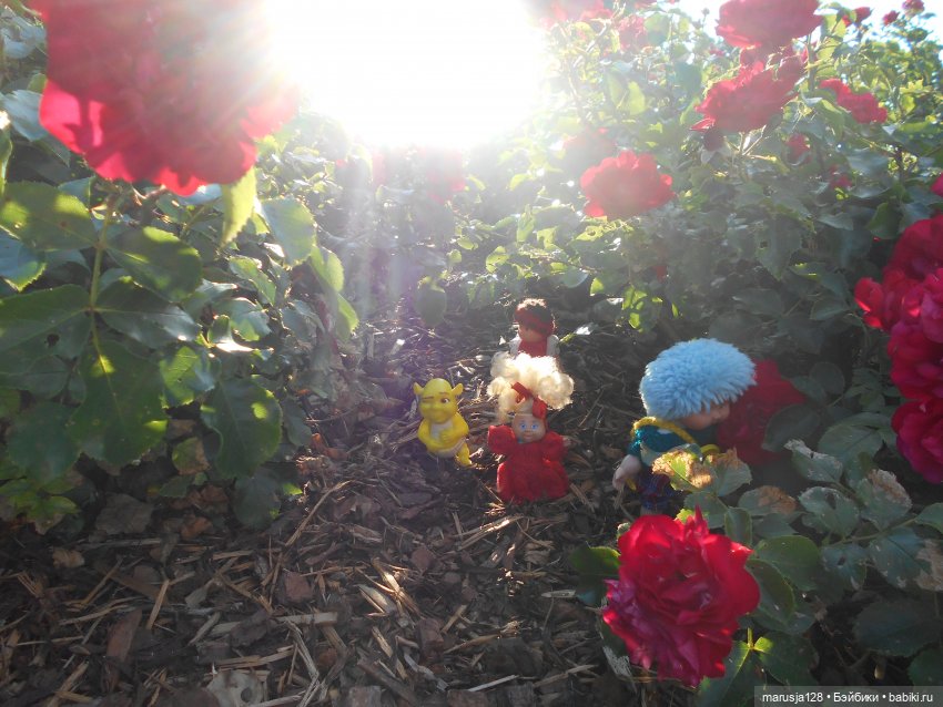 Невероятные приключения коротышек в городе Хаапсалу.. и окрестностях (фото 9)