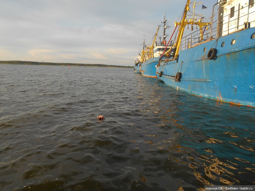 Невероятные приключения коротышек в городе Хаапсалу.. и окрестностях