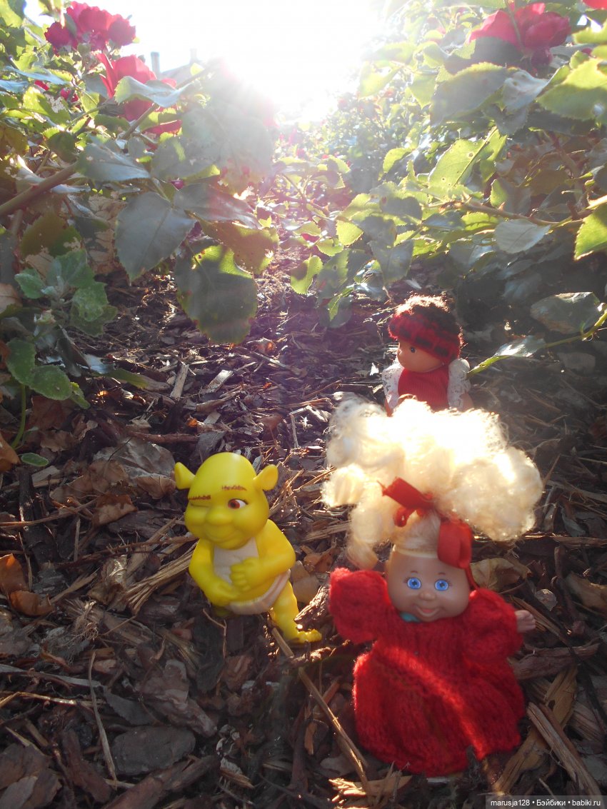 Невероятные приключения коротышек в городе Хаапсалу.. и окрестностях (фото 10)