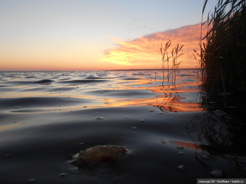 Невероятные приключения коротышек в городе Хаапсалу.. и окрестностях (часть 2)