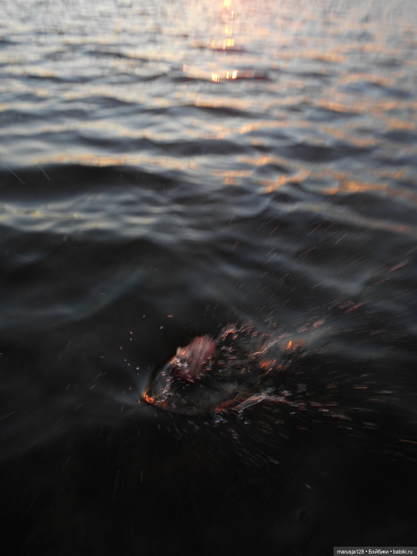 Невероятные приключения коротышек в городе Хаапсалу.. и окрестностях (часть 2)