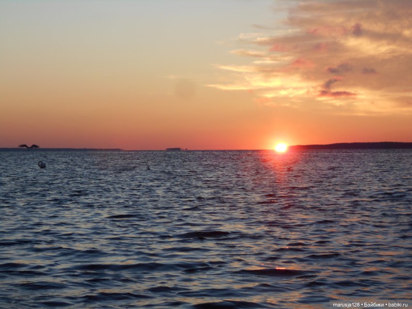 Невероятные приключения коротышек в городе Хаапсалу.. и окрестностях (часть 2)