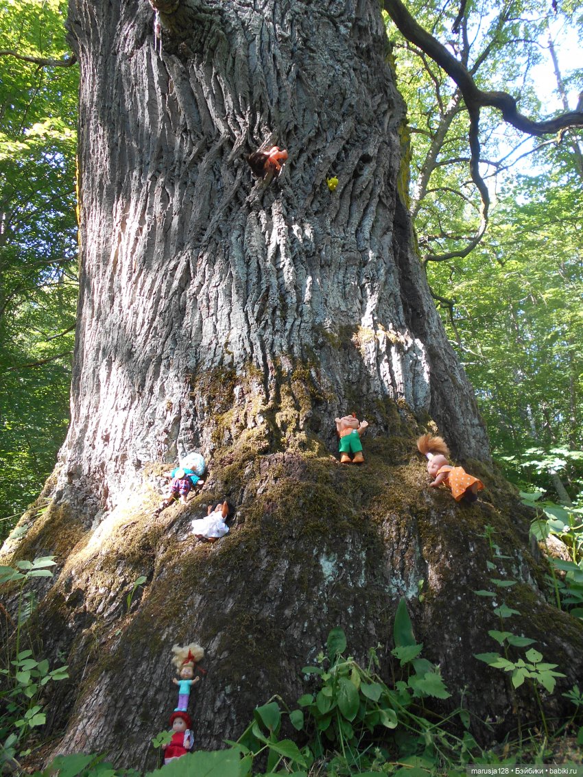 Невероятные приключения коротышек в городе Хаапсалу.. и окрестностях (Часть 3)
