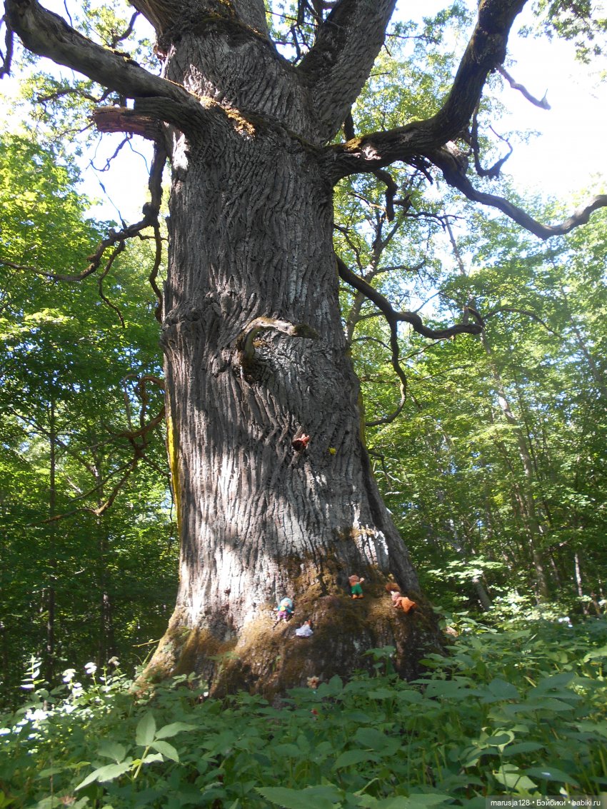 Невероятные приключения коротышек в городе Хаапсалу.. и окрестностях (Часть 3)