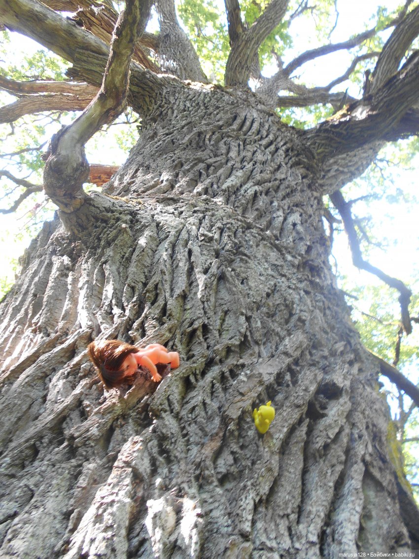 Невероятные приключения коротышек в городе Хаапсалу.. и окрестностях (Часть 3)
