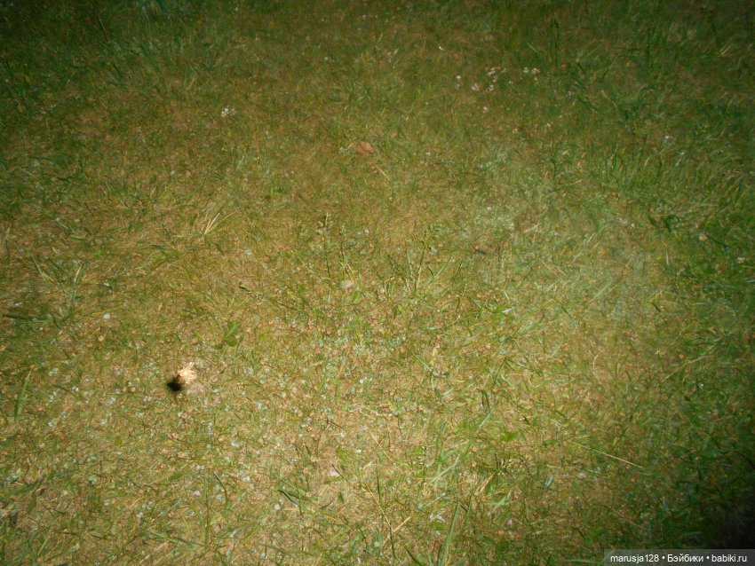 Невероятные приключения коротышек в городе Хаапсалу.. и окрестностях (часть 2)