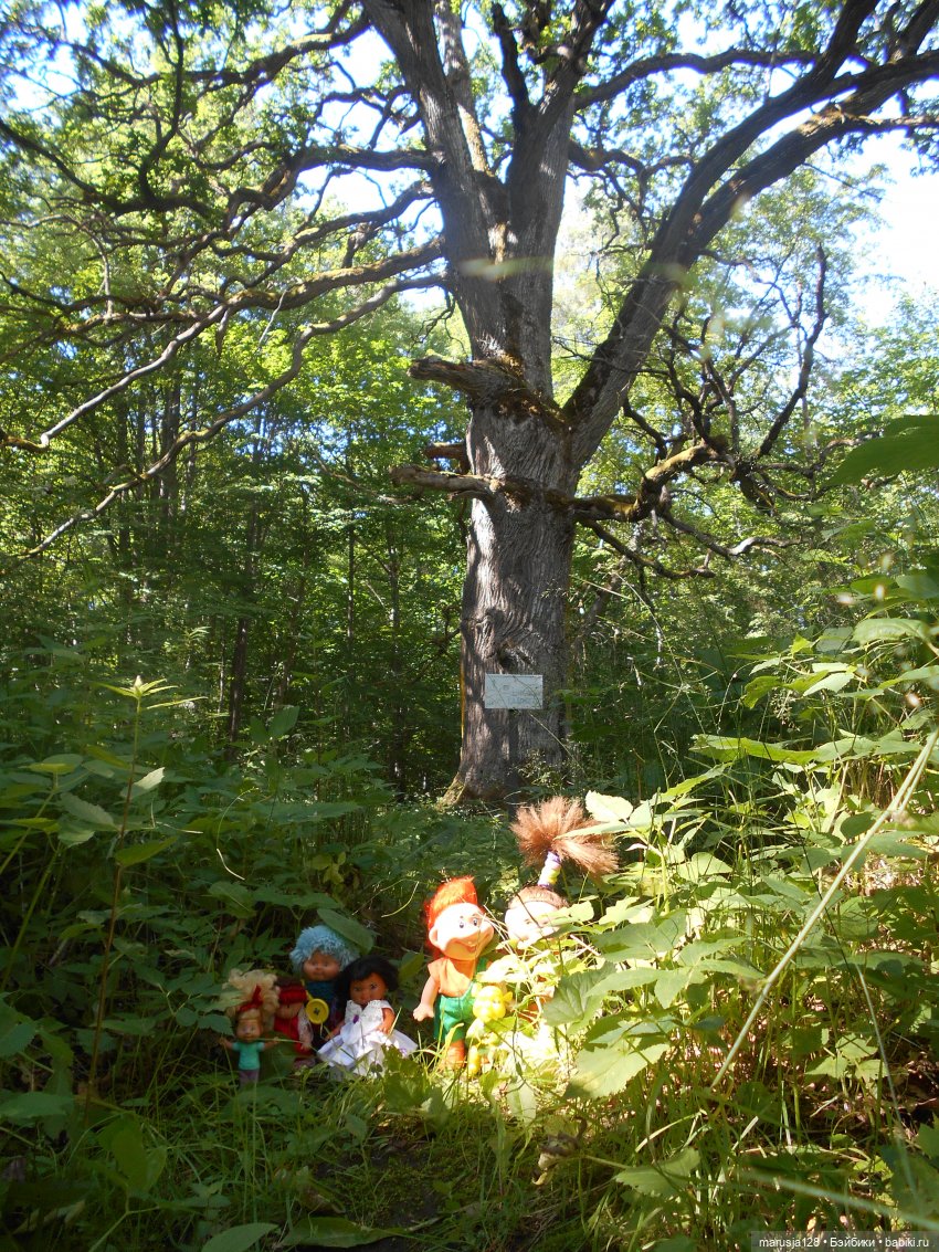 Невероятные приключения коротышек в городе Хаапсалу.. и окрестностях (Часть 3)