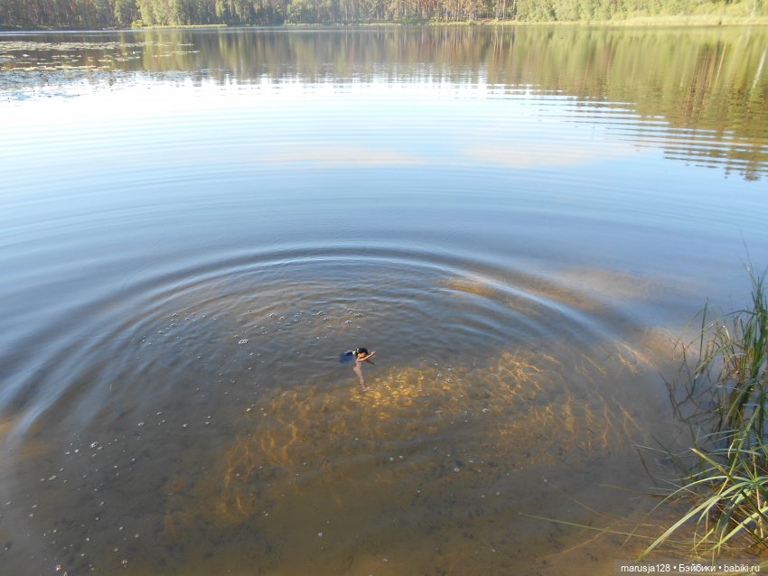 Великий Карнавал 2021: танцуем и веселимся