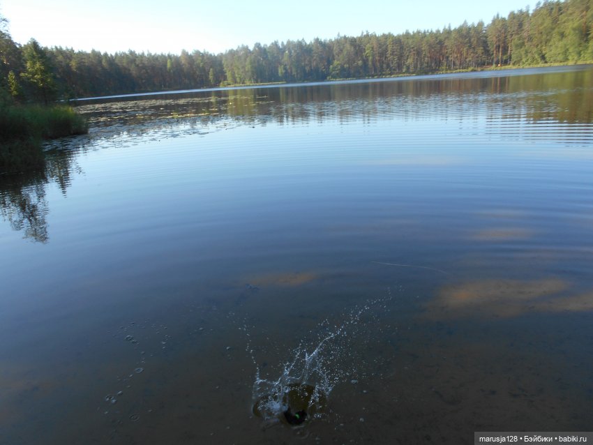 Великий Карнавал 2021: танцуем и веселимся