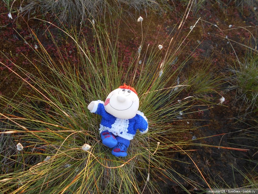 Великий Карнавал 2021: танцуем и веселимся