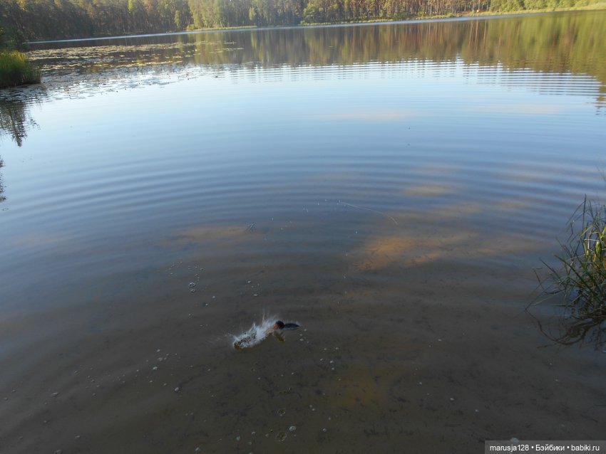 Великий Карнавал 2021: танцуем и веселимся