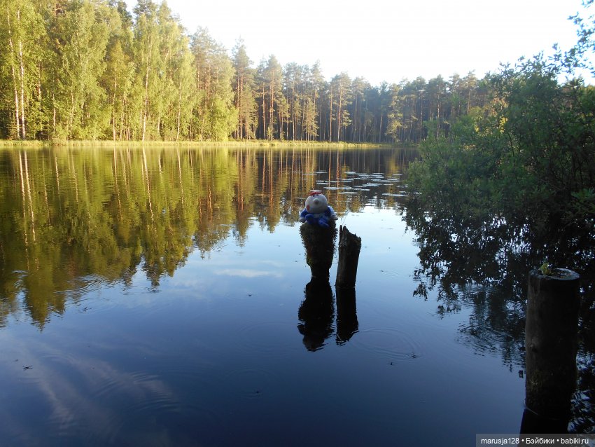 Великий Карнавал 2021: танцуем и веселимся