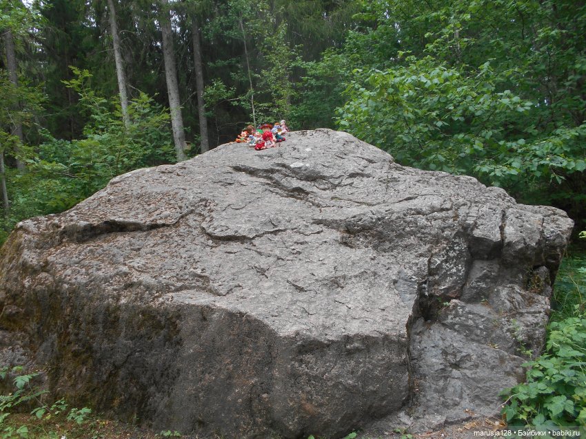 Великий Карнавал 2021: Походы и соревнования (фото 4)