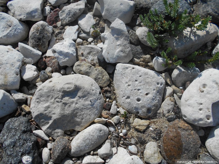 Вылазка на остров Вормси. Краткий отчёт