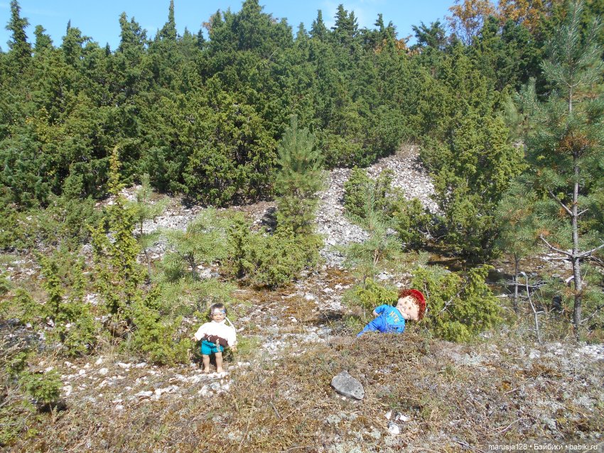 Вылазка на остров Вормси. Краткий отчёт