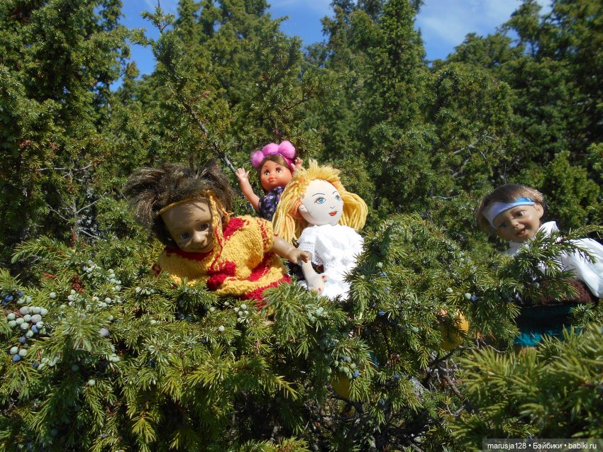 Вылазка на остров Вормси. Краткий отчёт