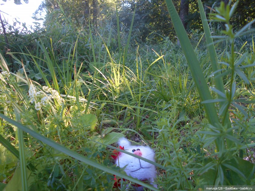 Великий Карнавал 2021: Походы и соревнования