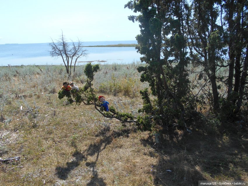 Вылазка на остров Вормси. Краткий отчёт