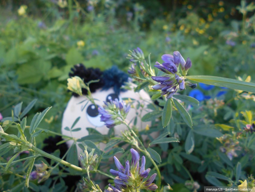 Великий Карнавал 2021: Походы и соревнования